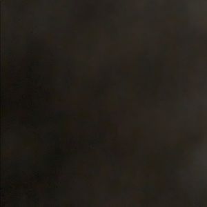 Meet your Posher, Aleena